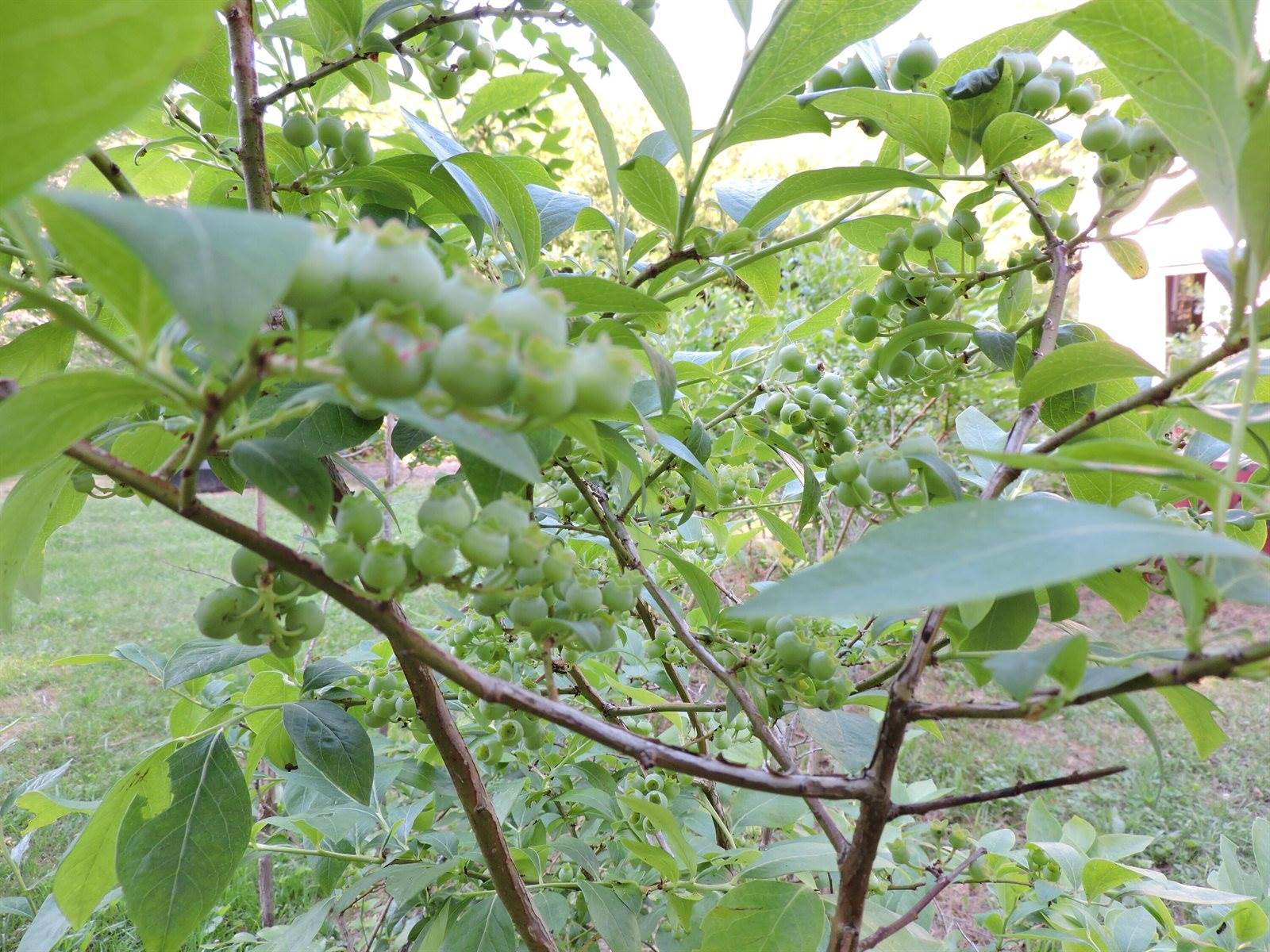 384 Duck Puddle Road, Nobleboro, ME 04555