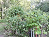 384 Duck Puddle Road, Nobleboro, ME 04555