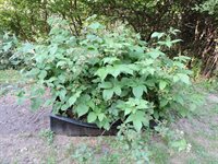 384 Duck Puddle Road, Nobleboro, ME 04555