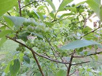 384 Duck Puddle Road, Nobleboro, ME 04555