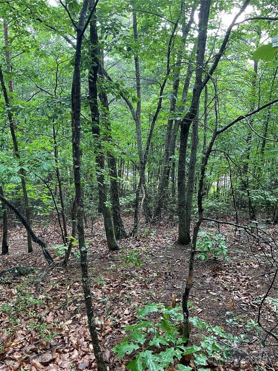 0 Pineknoll Drive, Hickory, NC 28602