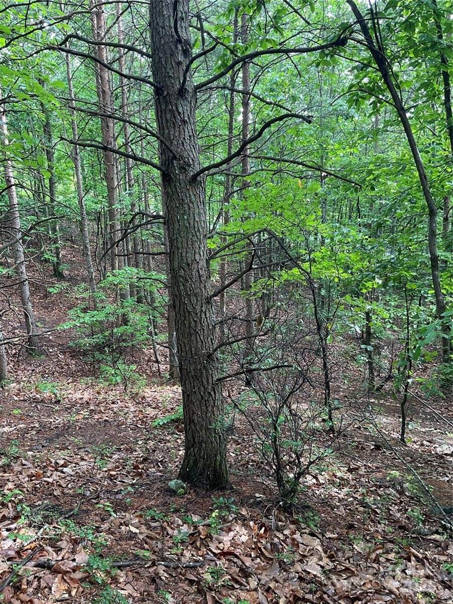 0 Pineknoll Drive, Hickory, NC 28602