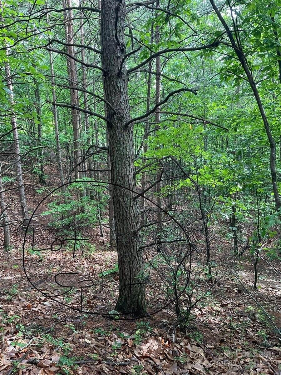 0 Pineknoll Drive, Hickory, NC 28602