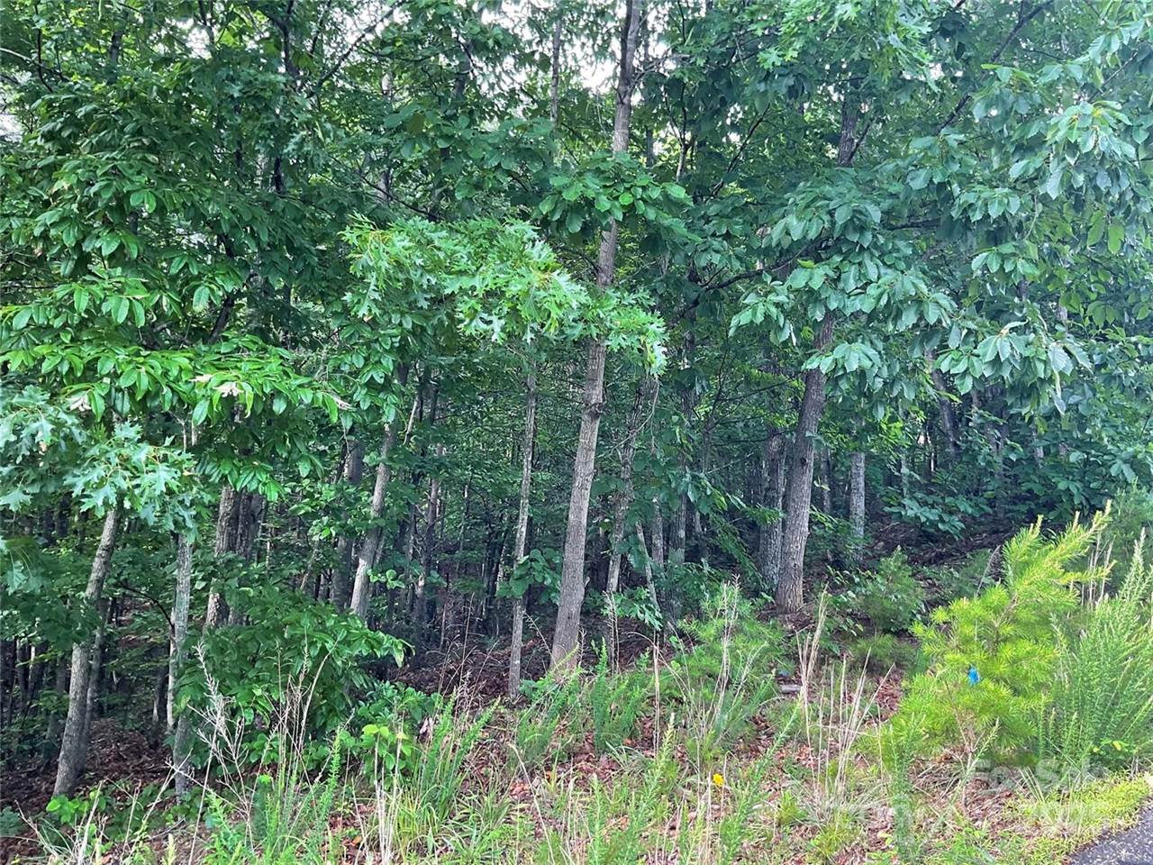 0 Pineknoll Drive, Hickory, NC 28602