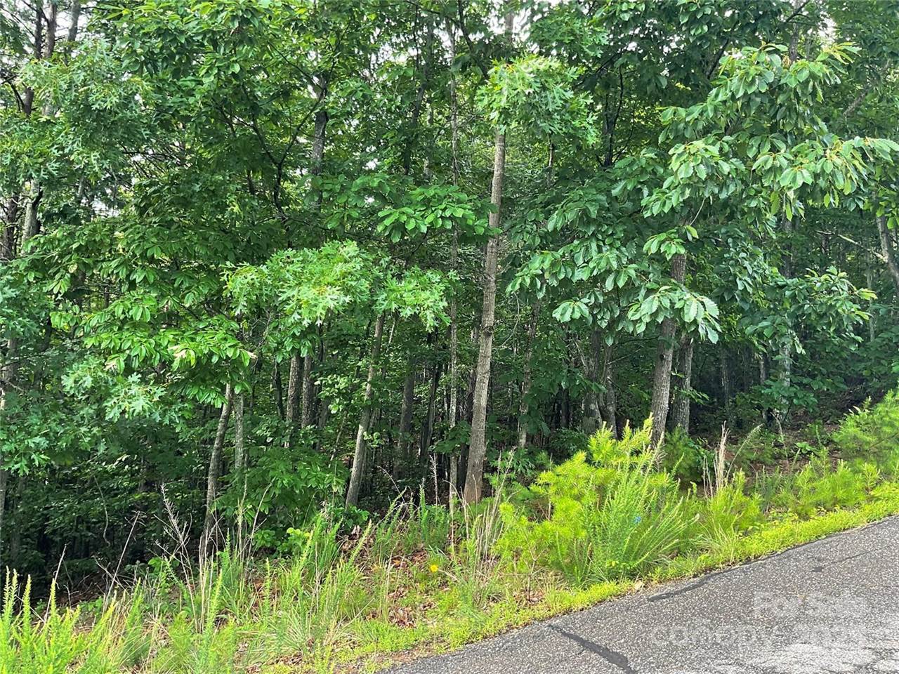 0 Pineknoll Drive, Hickory, NC 28602