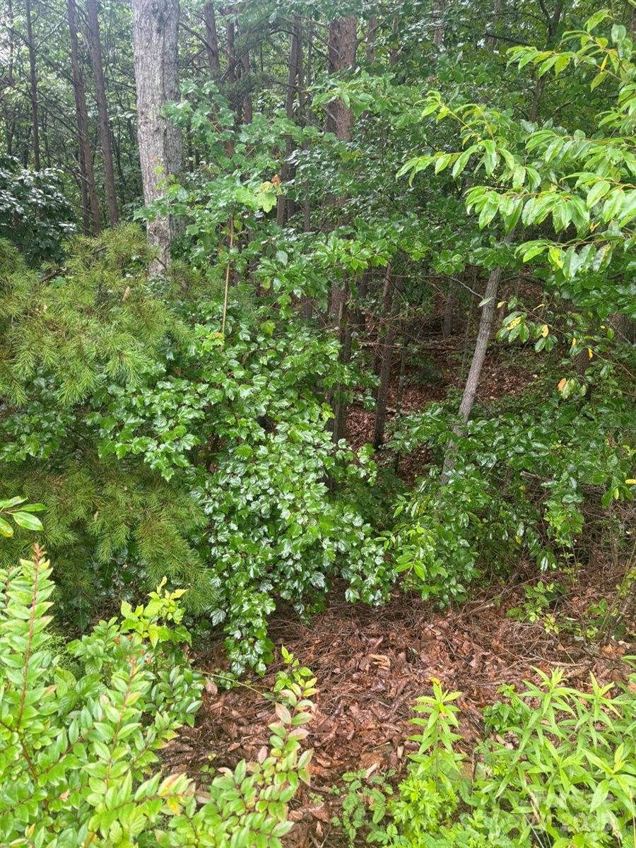 0 Pineknoll Drive, Hickory, NC 28602