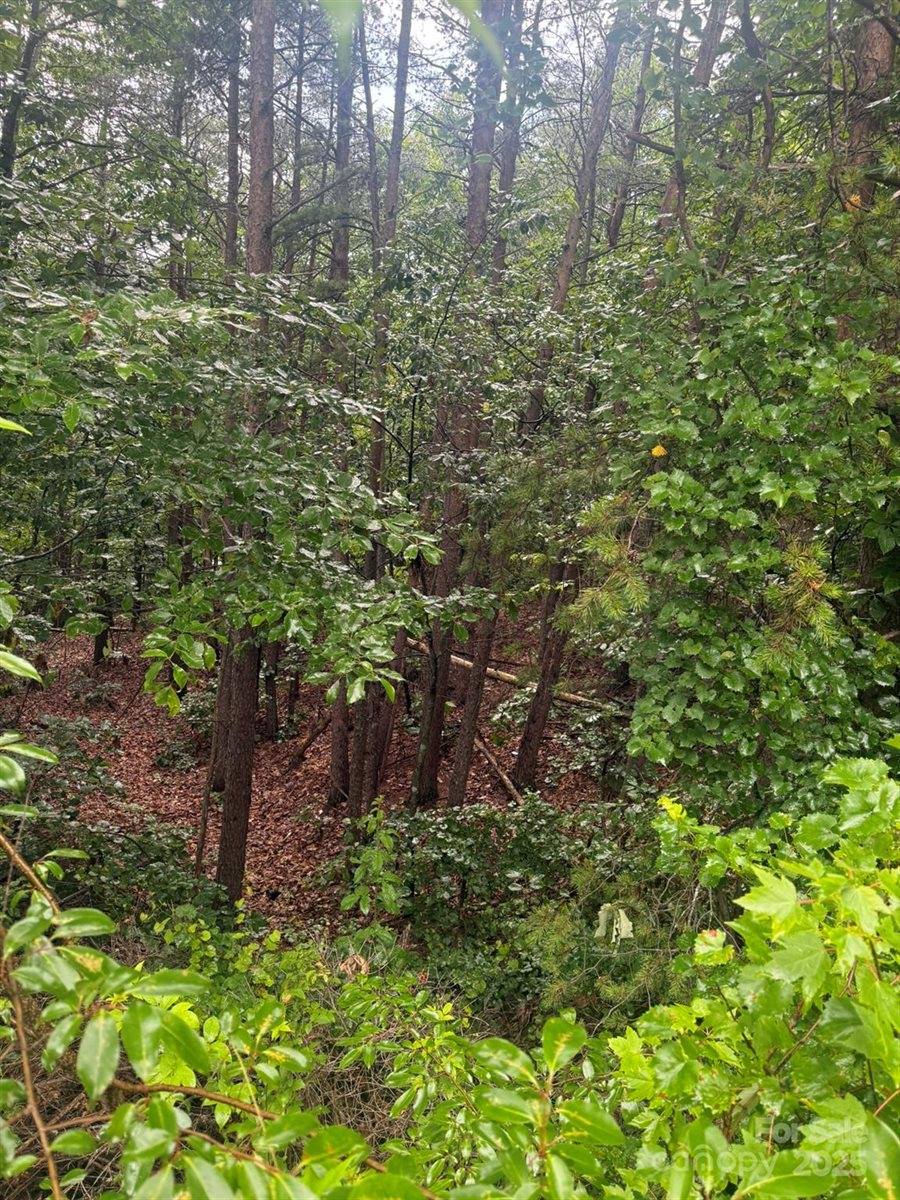 0 Pineknoll Drive, Hickory, NC 28602