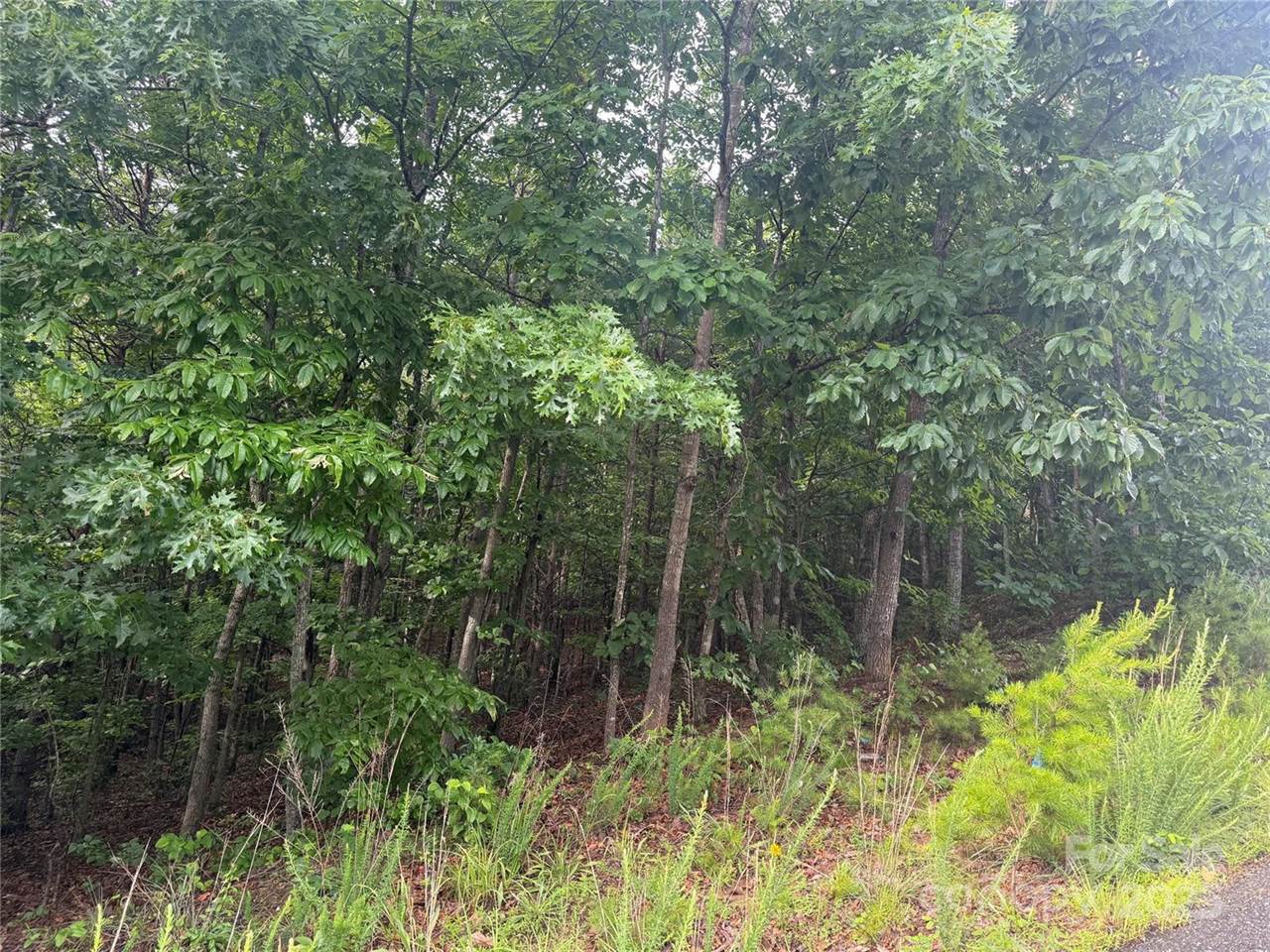 0 Pineknoll Drive, Hickory, NC 28602