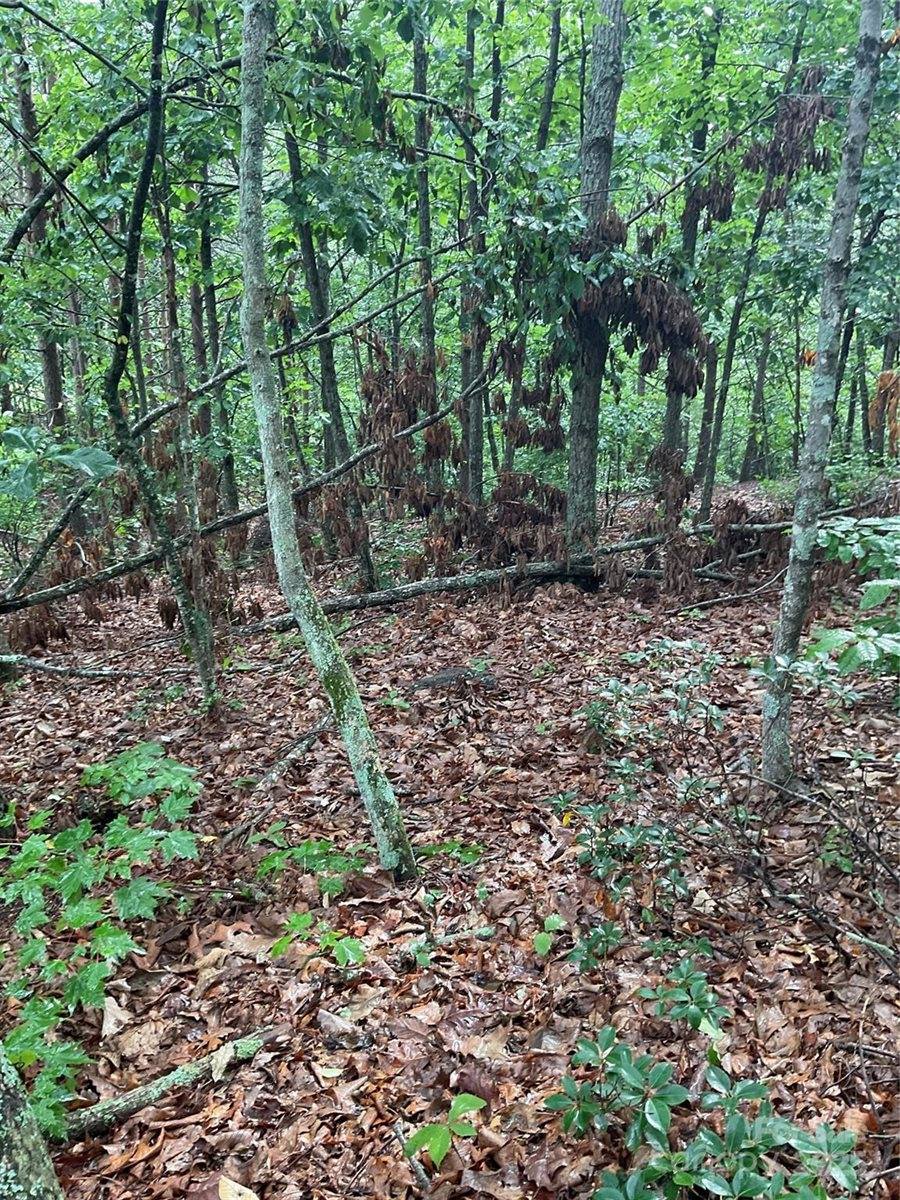 0 Pineknoll Drive, Hickory, NC 28602