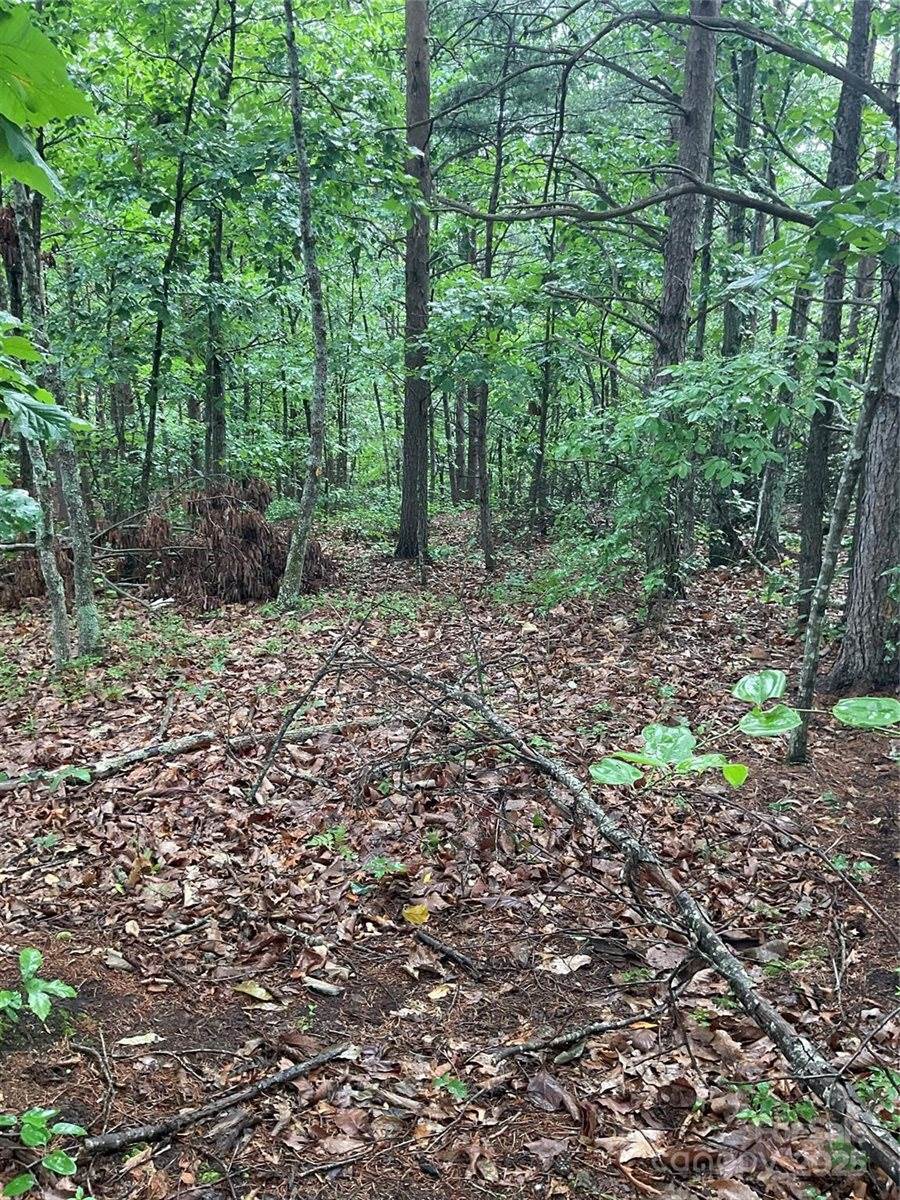 0 Pineknoll Drive, Hickory, NC 28602