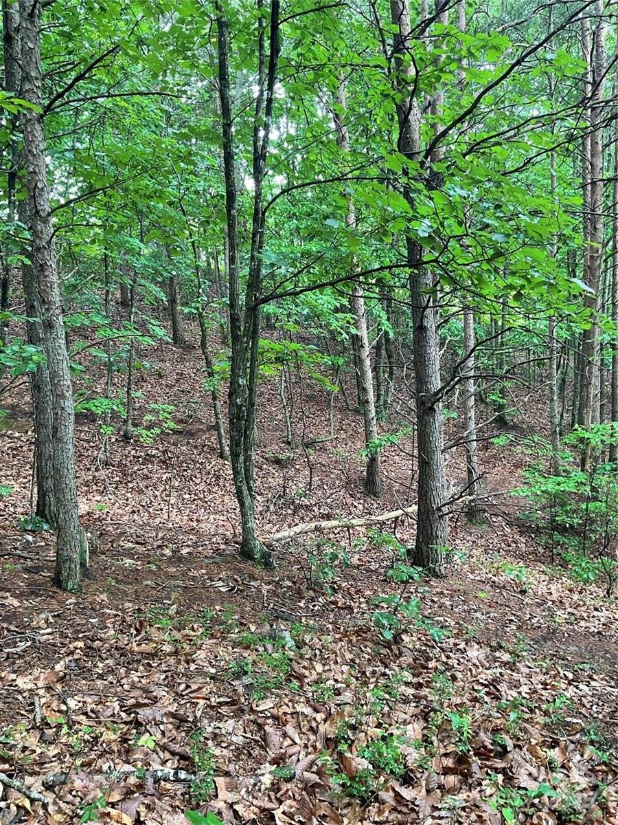 0 Pineknoll Drive, Hickory, NC 28602