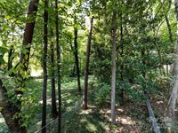 101 Treeline Drive, Belmont, NC 28012