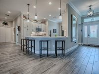 6295 Danielson Loop, The Villages, FL 32163