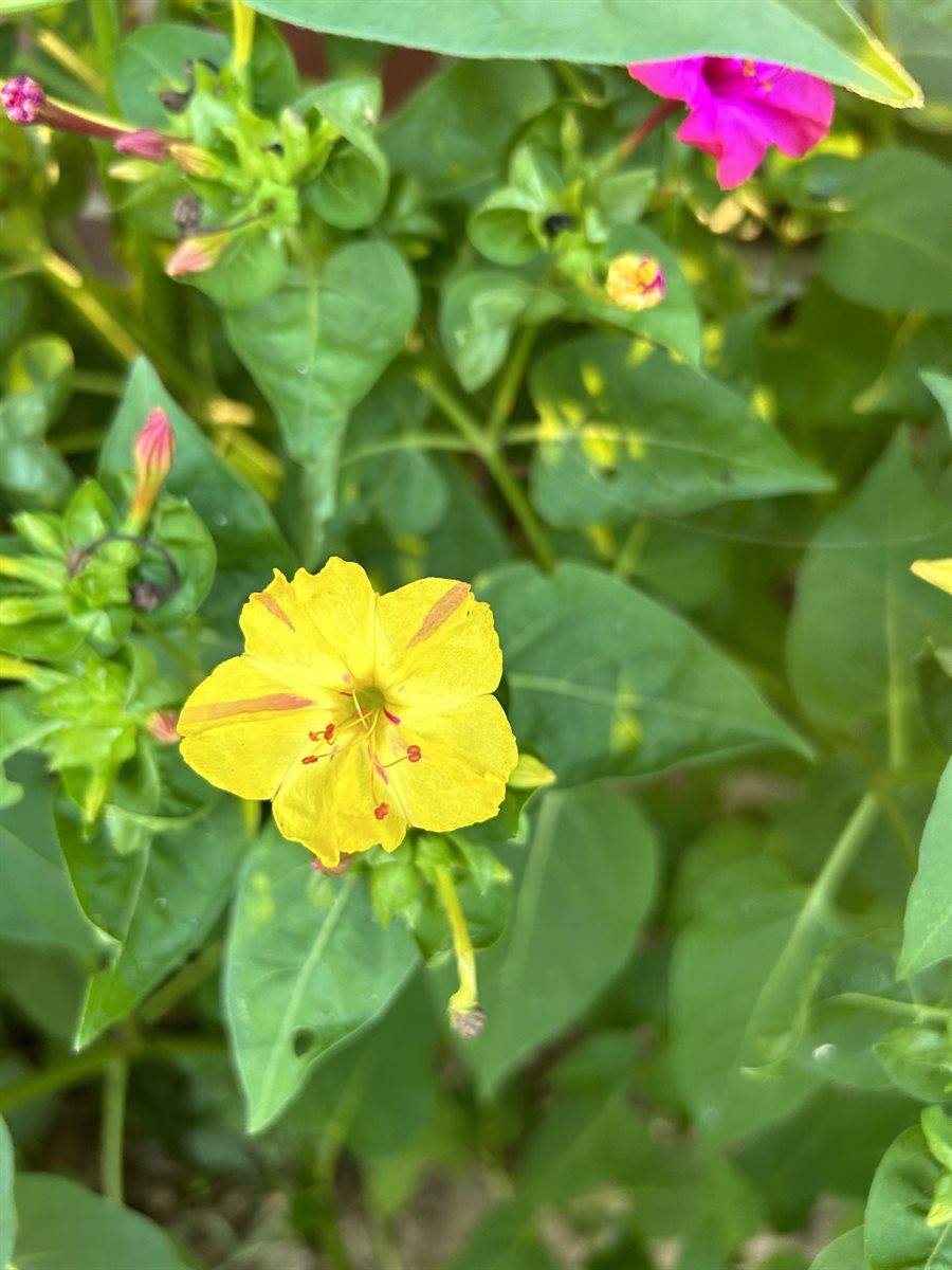 4670 Highway 69A, Camden, TN 38320