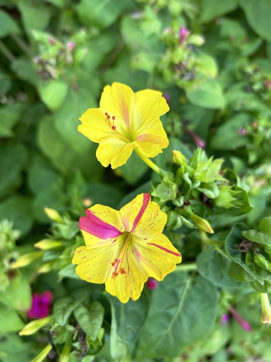 4670 Highway 69A, Camden, TN 38320