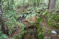 4670 Highway 69A, Camden, TN 38320