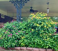 4670 Highway 69A, Camden, TN 38320