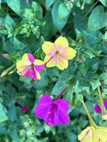 4670 Highway 69A, Camden, TN 38320