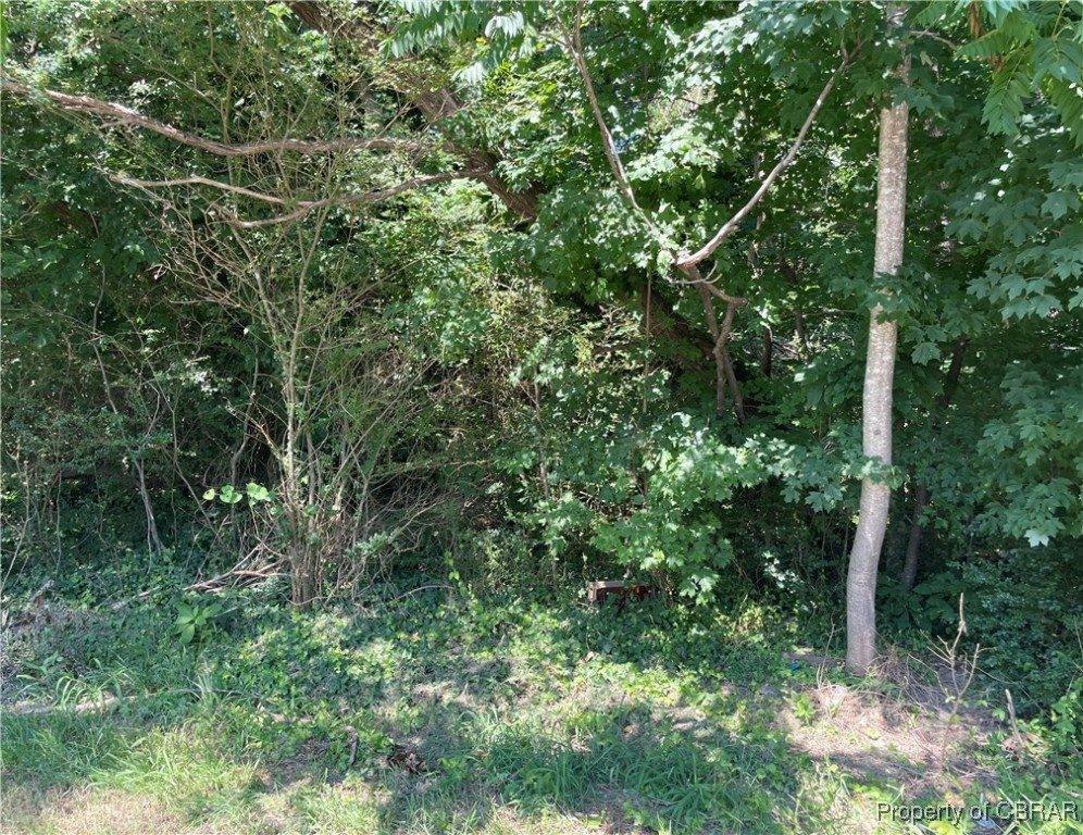 8698 Pocahontas Trail, James City County, VA 23185