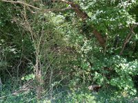 8698 Pocahontas Trail, James City County, VA 23185