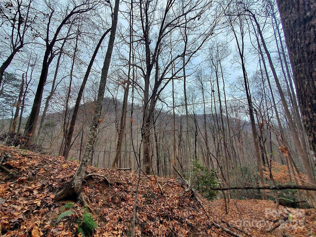 000 Green River Cove Road, Saluda, NC 28773