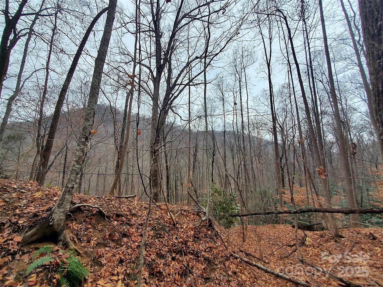 000 Green River Cove Road, Saluda, NC 28773