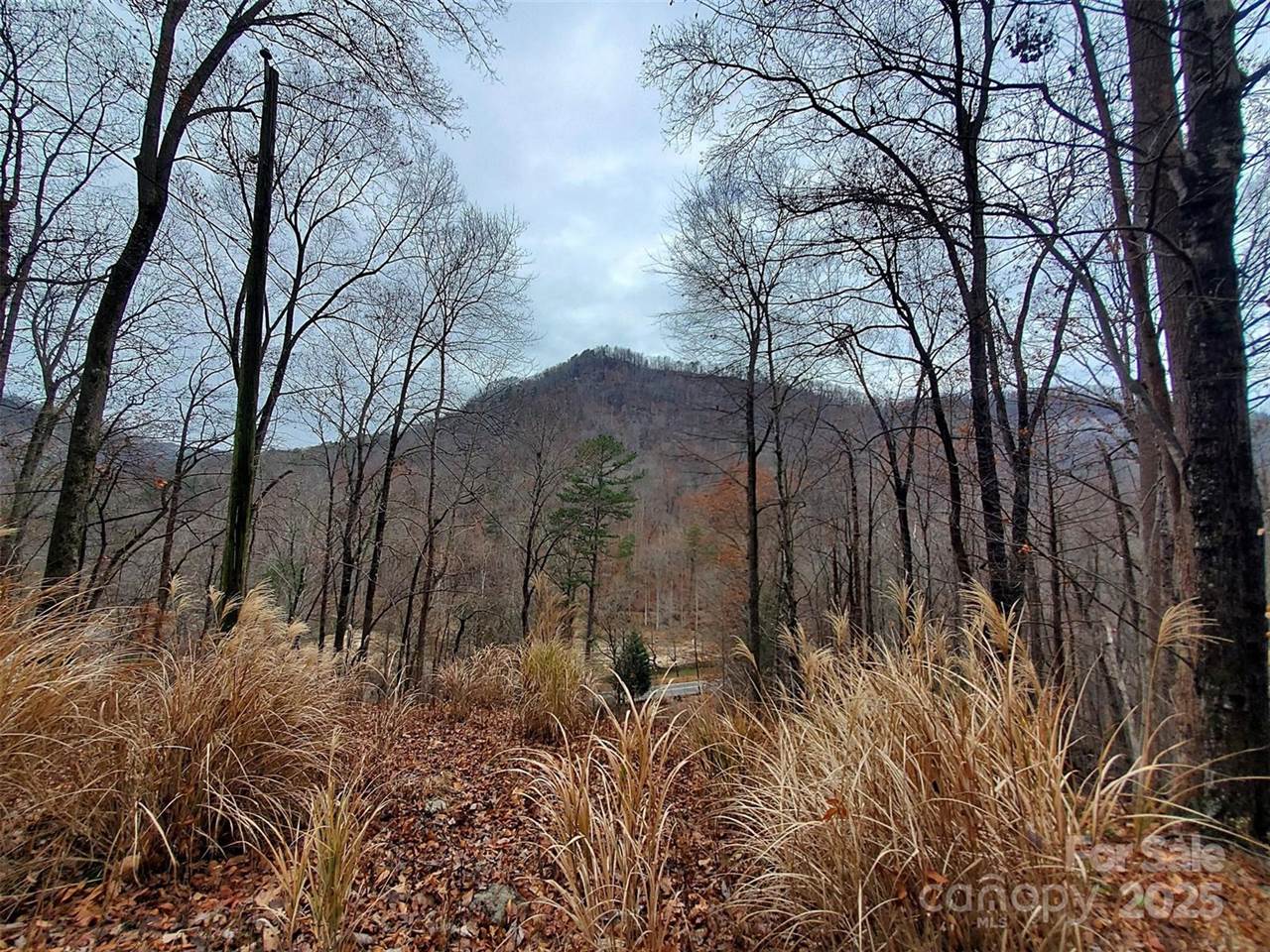000 Green River Cove Road, Saluda, NC 28773