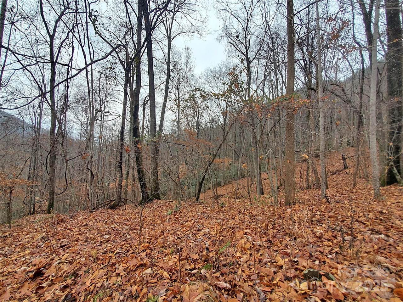000 Green River Cove Road, Saluda, NC 28773