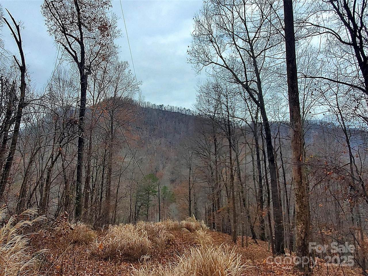 000 Green River Cove Road, Saluda, NC 28773