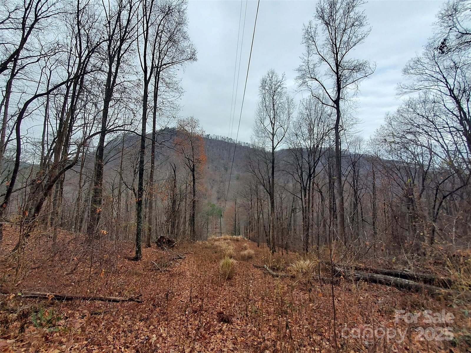 000 Green River Cove Road, Saluda, NC 28773