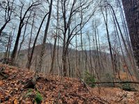 000 Green River Cove Road, Saluda, NC 28773