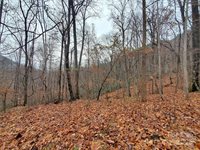 000 Green River Cove Road, Saluda, NC 28773