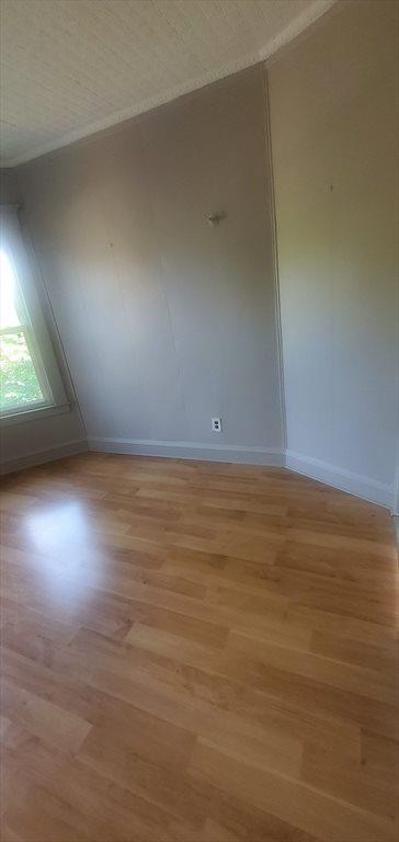 10 Monroe, Springfield, MA 01109