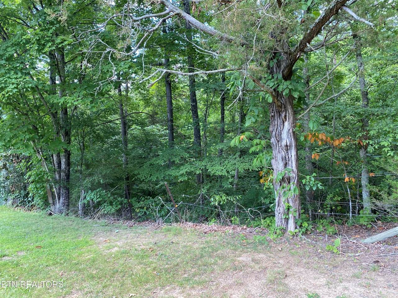 Walkers Church Rd, Bulls Gap, TN 37711