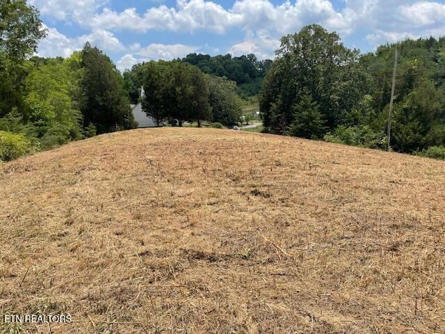 Walkers Church Rd, Bulls Gap, TN 37711