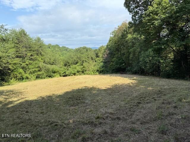 Walkers Church Rd, Bulls Gap, TN 37711