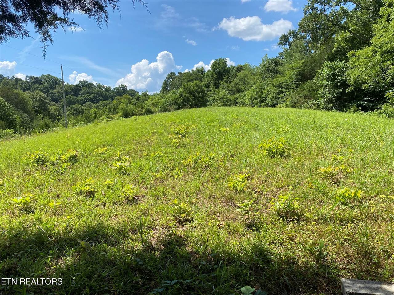 Walkers Church Rd, Bulls Gap, TN 37711