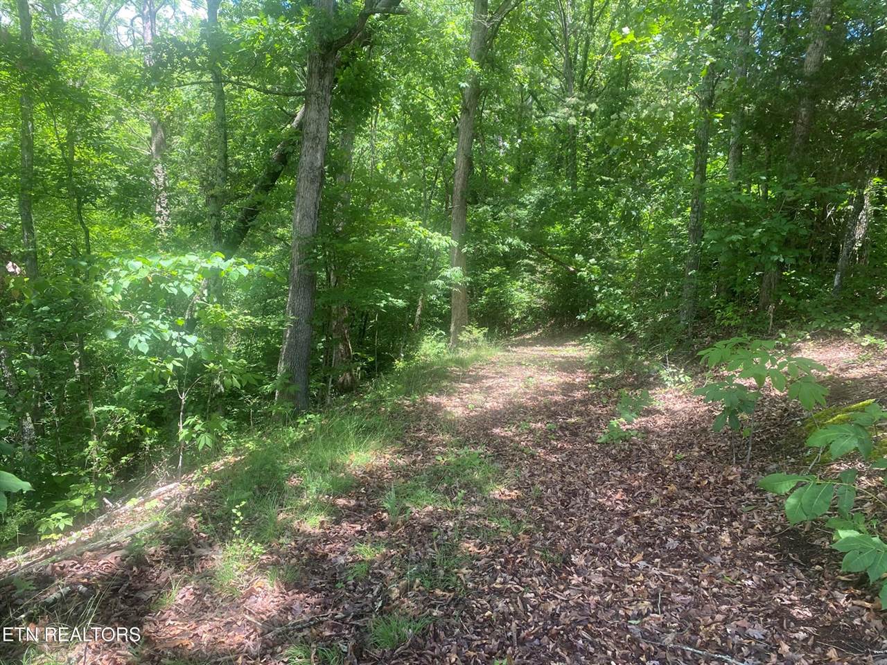 Walkers Church Rd, Bulls Gap, TN 37711