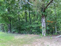 Walkers Church Rd, Bulls Gap, TN 37711