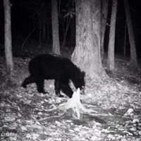 Walkers Church Rd, Bulls Gap, TN 37711