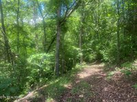 Walkers Church Rd, Bulls Gap, TN 37711