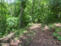 Walkers Church Rd, Bulls Gap, TN 37711