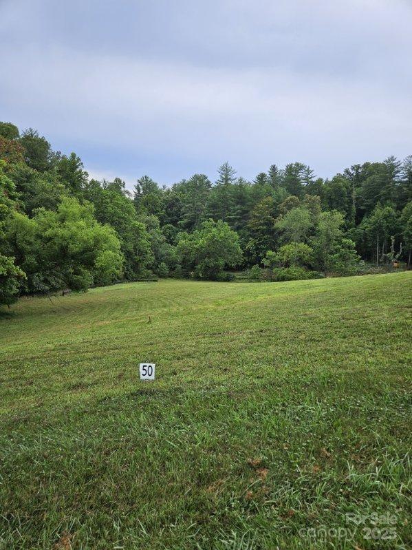 9999 Settlers Trail, #50, Mars Hill, NC 28754