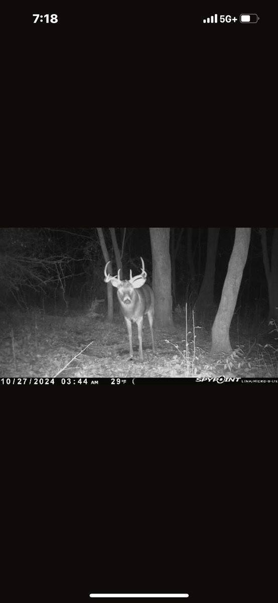 14.66 Acres Sand Hill, Akan, WI 53913