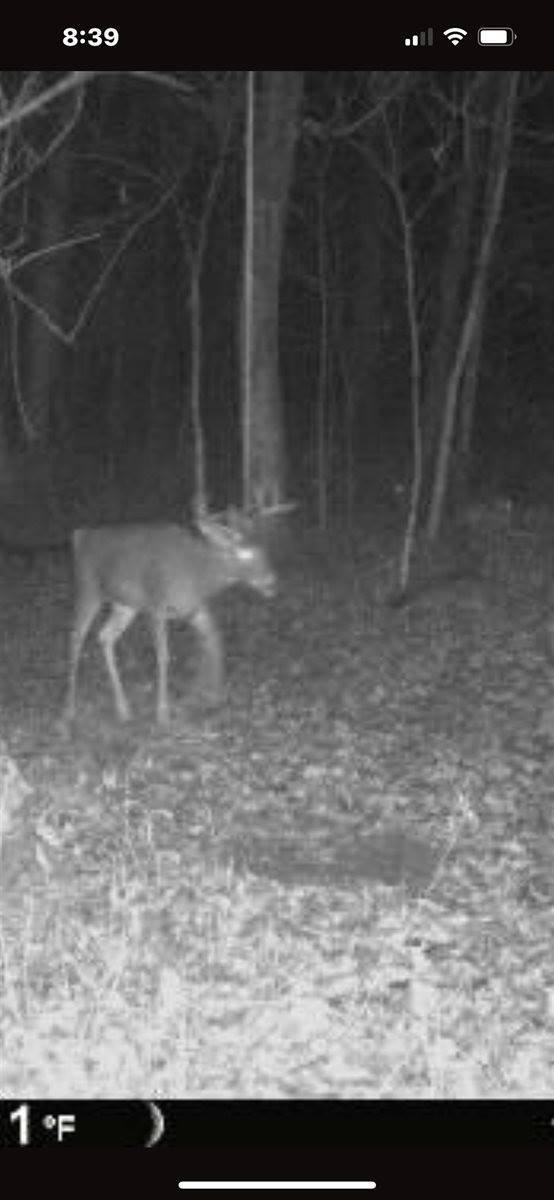 14.66 Acres Sand Hill, Akan, WI 53913