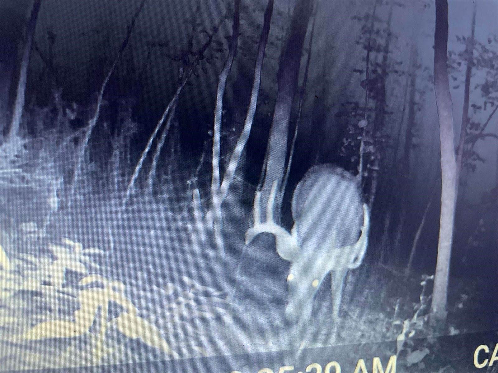 14.66 Acres Sand Hill, Akan, WI 53913