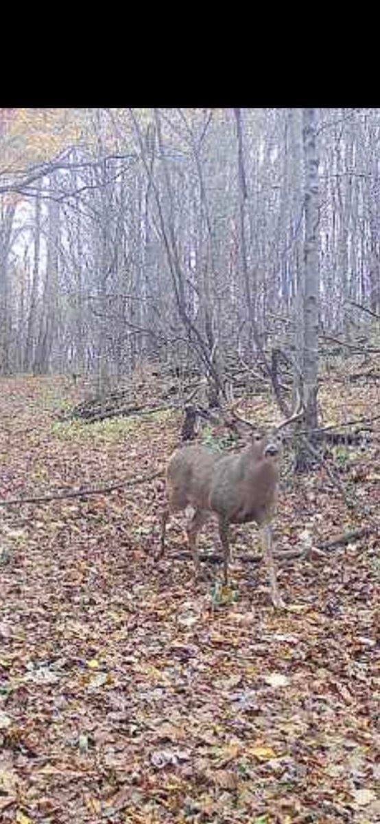 14.66 Acres Sand Hill, Akan, WI 53913