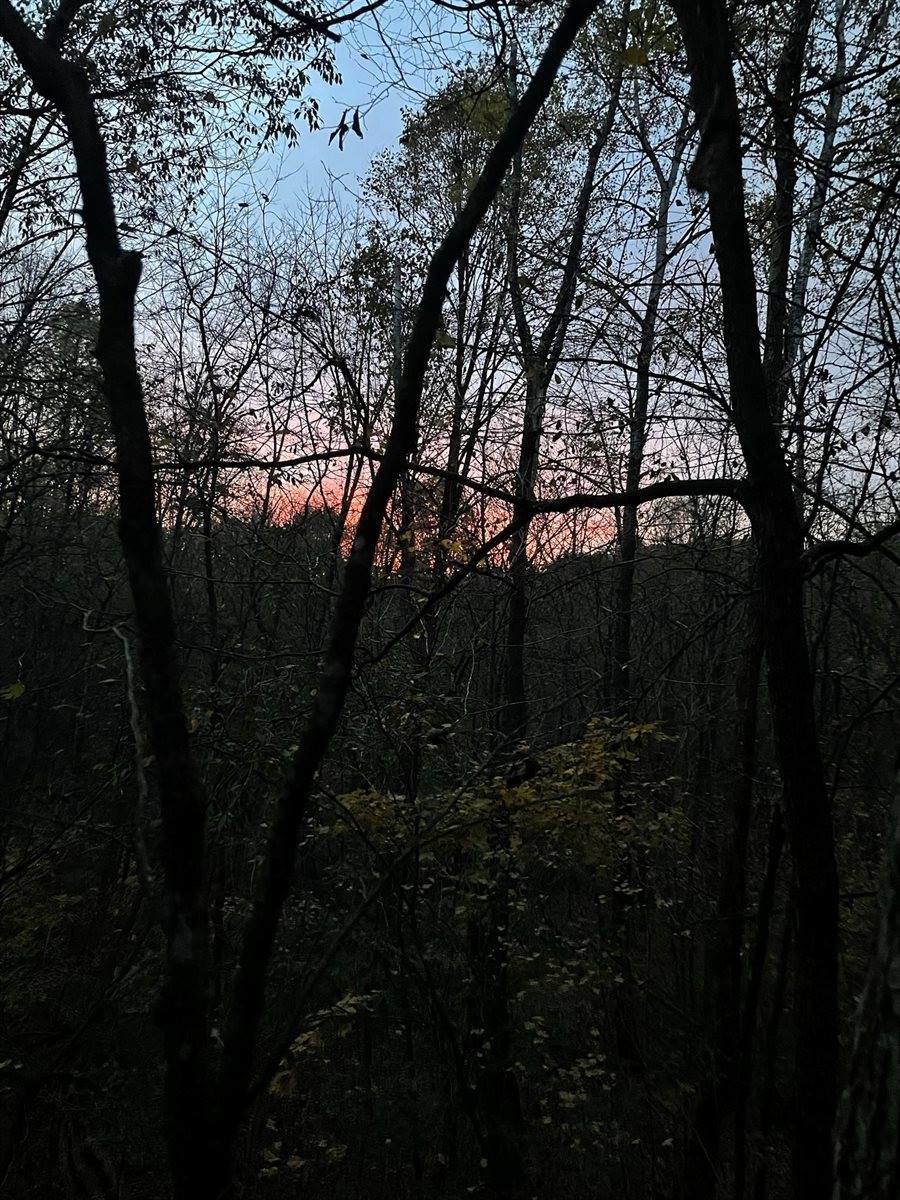 14.66 Acres Sand Hill, Akan, WI 53913