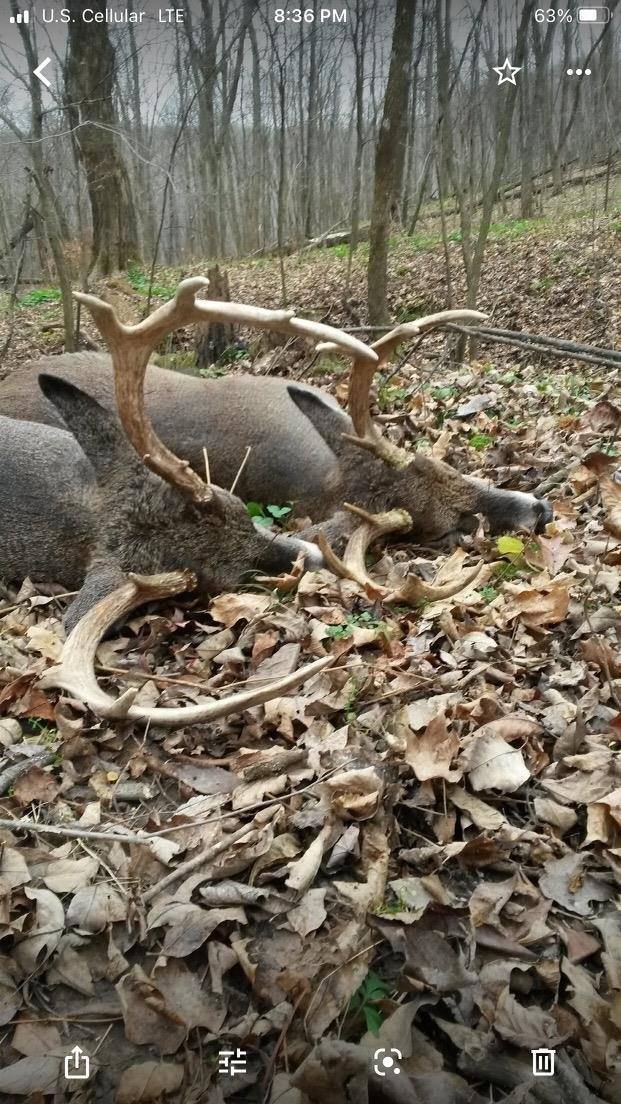 14.66 Acres Sand Hill, Akan, WI 53913