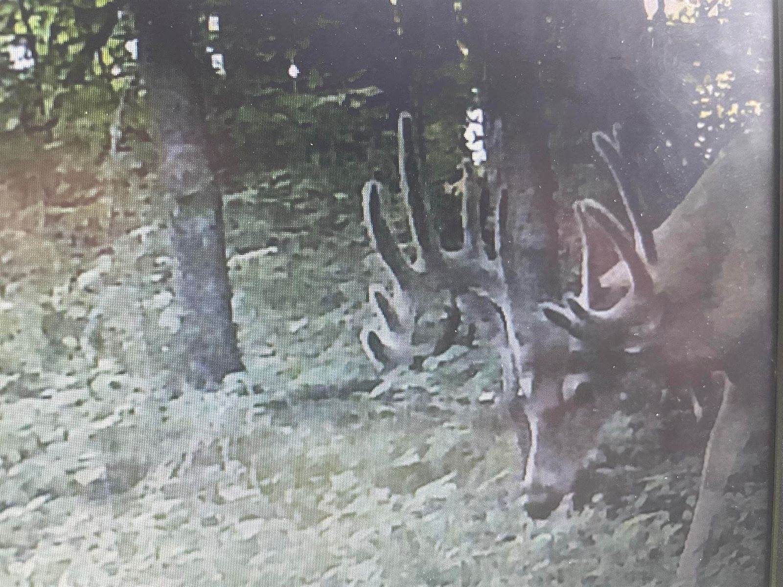 14.66 Acres Sand Hill, Akan, WI 53913